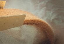 Change in export taxes on corn, wheat and soybean in Argentina