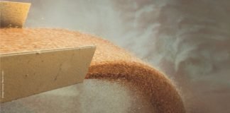 Change in export taxes on corn, wheat and soybean in Argentina