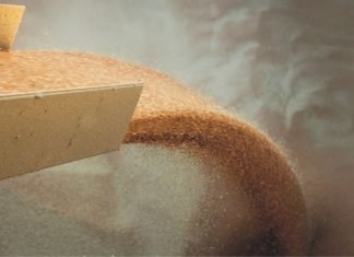 Change in export taxes on corn, wheat and soybean in Argentina