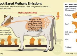 A discovery to lower methane emissions from livestock