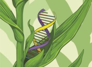 Nobel Laureates come out in support of GM crops: its benefit to Poultry and Feed Industry