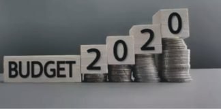 Budget 2020 highlights for Poultry and Dairy Industry