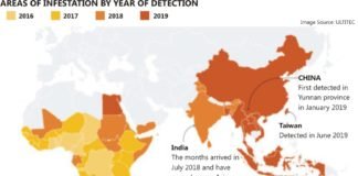 Fall Armyworm (FAW) destructive impact on maize crop across Asia