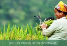 IYPH2020: Why the Agri-Food industry should care about it?