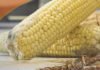 “The World Mycotoxin Forum” to Asia: Key Learnings