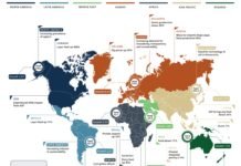 Aquaculture feed and pet food rise while global feed production decline by 1%