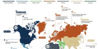 Aquaculture feed and pet food rise while global feed production decline by 1%