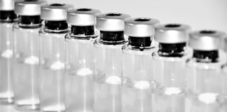 African Swine Fever Vaccine Effective in Lab Tests – China