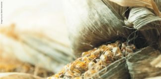 Mycotoxin Survey report for India by Cargill