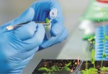 European VC Seventure investing in biotech innovation for alternative protein