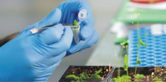 European VC Seventure investing in biotech innovation for alternative protein