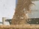 US soybean exports to China picking up