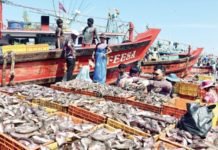 Kerala’s fisheries sector facing issues due to shortage of workers