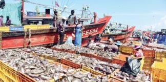 Kerala’s fisheries sector facing issues due to shortage of workers