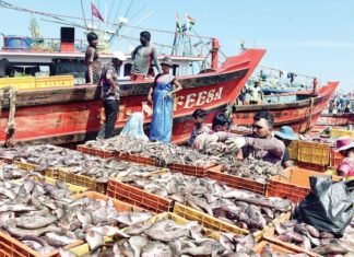 Kerala’s fisheries sector facing issues due to shortage of workers