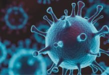 Understanding the Impact of COVID-19 on Indian Poultry Industry – 1st webinar by BENISON Media