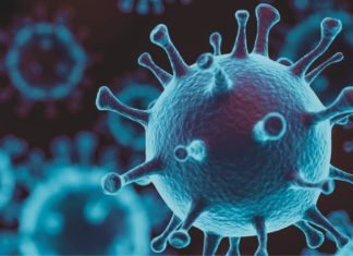 Understanding the Impact of COVID-19 on Indian Poultry Industry – 1st webinar by BENISON Media