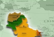 BioZyme Inc. partners with an Indian firm to cater feed and livestock market of the Indian subcontinent