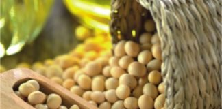 USDA Projects Rise in World Oilseed Production, Expects Higher Consumption, Reduces Ending Stock Estimates