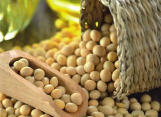 USDA Projects Rise in World Oilseed Production, Expects Higher Consumption, Reduces Ending Stock Estimates