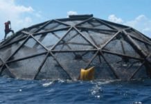 Technology driven companies supporting Aquaculture industry across the world