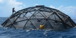 Technology driven companies supporting Aquaculture industry across the world