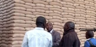 Kenya prepares to import maize in the midst of COVID-19 pandemic