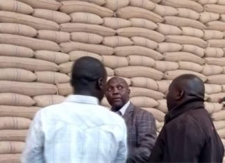 Kenya prepares to import maize in the midst of COVID-19 pandemic