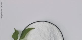 Animal feed flavour market forecast