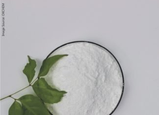 Animal feed flavour market forecast