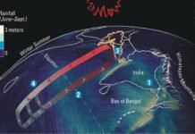 Control measures to reduce ammonia production in poultry houses during monsoon