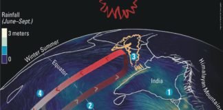 Control measures to reduce ammonia production in poultry houses during monsoon