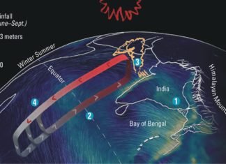 Control measures to reduce ammonia production in poultry houses during monsoon