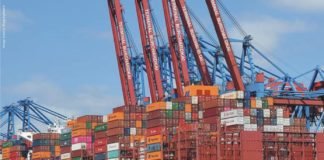 Animal feed import in Vietnam reduced