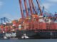 Animal feed import in Vietnam reduced