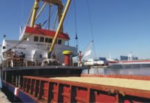 Indian government allows corn import at reduced duty to support Poultry sector