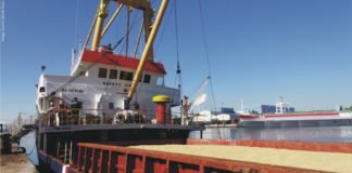 Indian government allows corn import at reduced duty to support Poultry sector