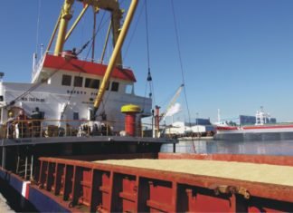 Indian government allows corn import at reduced duty to support Poultry sector