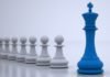 Novus: We Strive to be the Industry’s Gut Health Leader