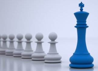 Novus: We Strive to be the Industry’s Gut Health Leader