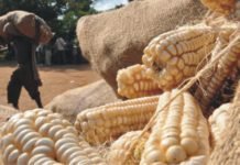 Lower demand pressures maize markets