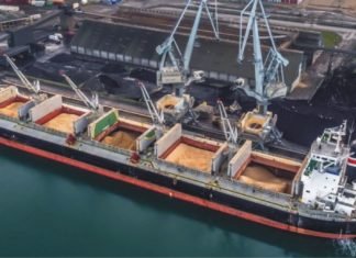 Brazil soybean export forecast