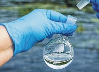 Water – the neglected nutrient