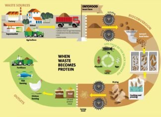 Wageningen based collaboration to make sustainable animal feed