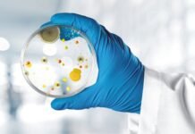 Strategies of Mold Control in Monsoon