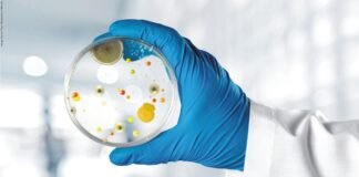 Strategies of Mold Control in Monsoon