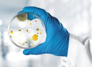 Strategies of Mold Control in Monsoon