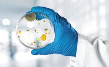 Strategies of Mold Control in Monsoon