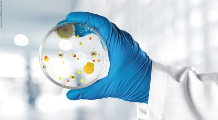 Strategies of Mold Control in Monsoon