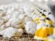 Applications invited for Positive Poultry Challenge